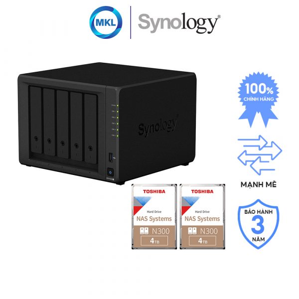 syno ds1520