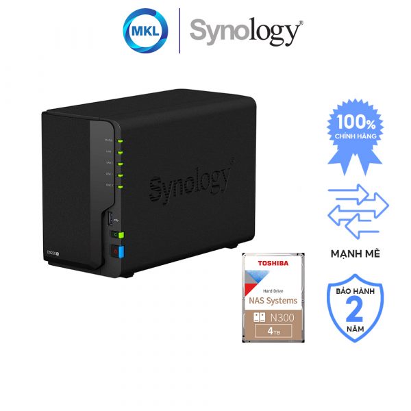 syno ds220