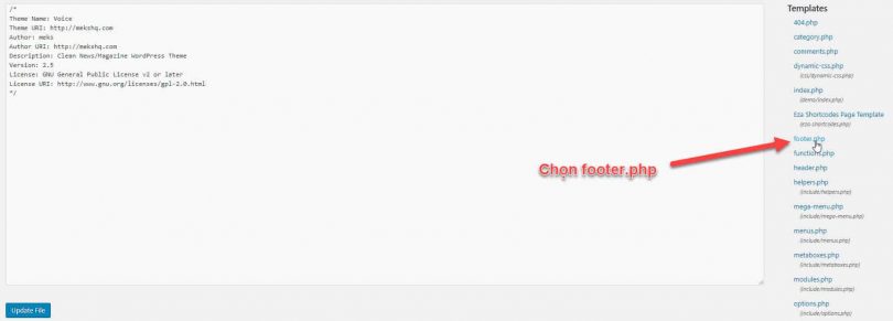 Dánh code vào Footer.php