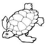 tranh-to-mau-con-rua-6